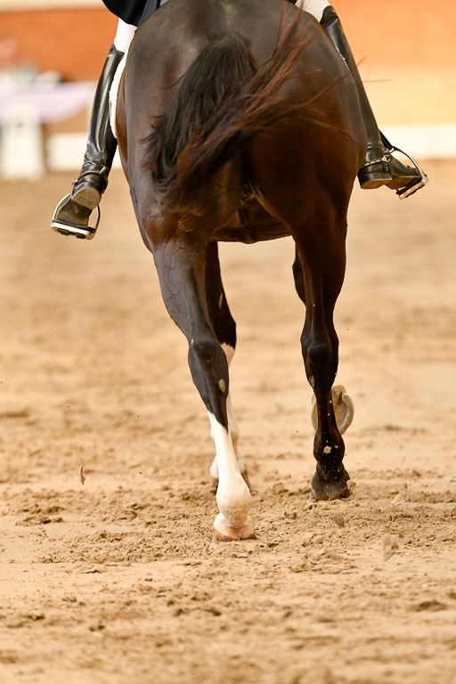 Reitturnier Harburger RV  16-18.7.2021 | Dressur_040 