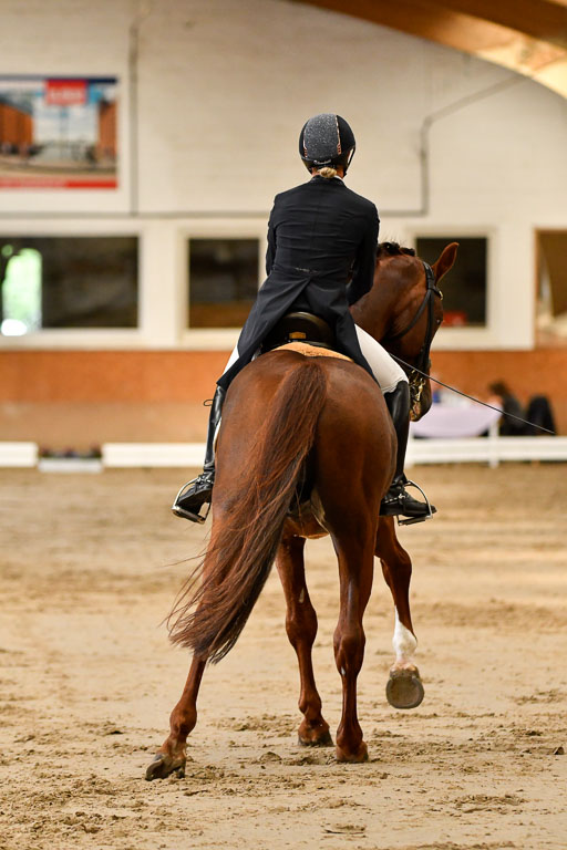 Reitturnier Harburger RV  16-18.7.2021 | Dressur_043 