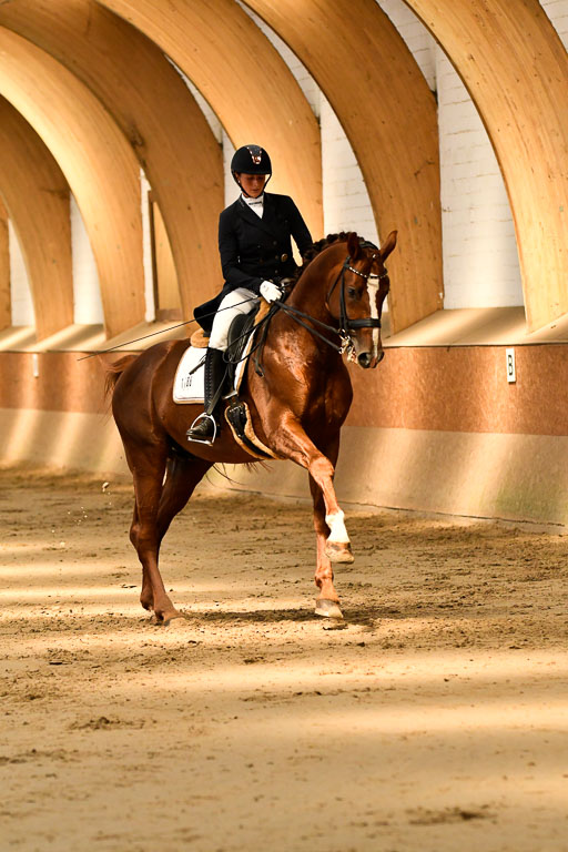 Reitturnier Harburger RV  16-18.7.2021 | Dressur_046 