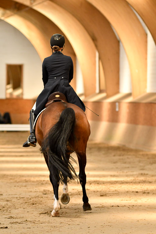 Reitturnier Harburger RV  16-18.7.2021 | Dressur_053 