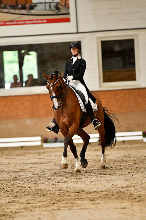 Reitturnier Harburger RV  16-18.7.2021 | Dressur_057 