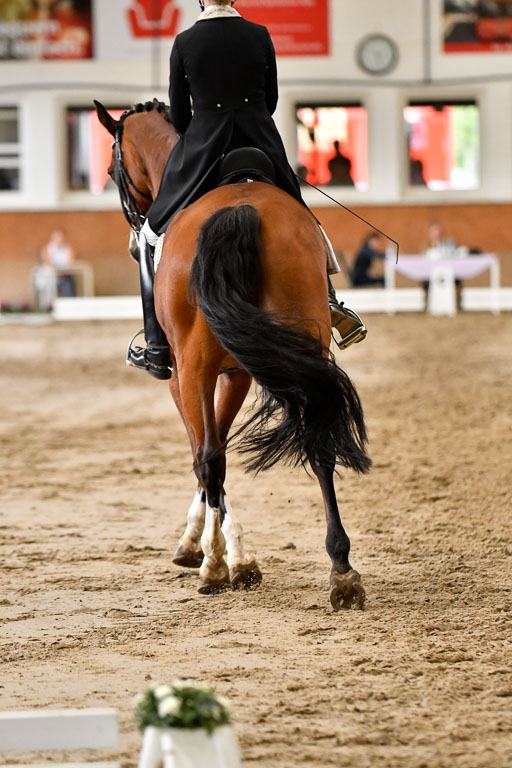 Reitturnier Harburger RV  16-18.7.2021 | Dressur_059 