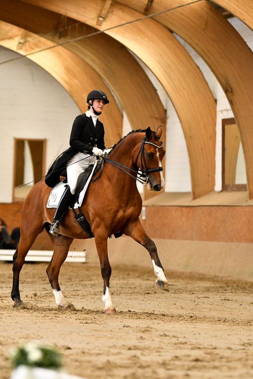 Reitturnier Harburger RV  16-18.7.2021 | Dressur_064 