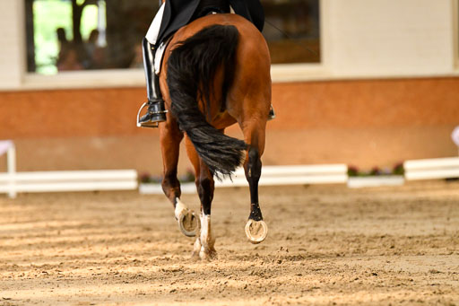 Reitturnier Harburger RV  16-18.7.2021 | Dressur_068 