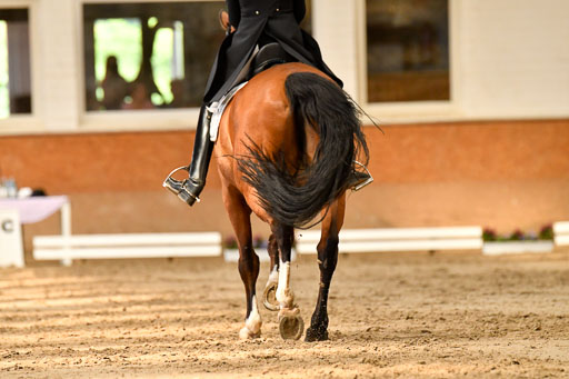 Reitturnier Harburger RV  16-18.7.2021 | Dressur_069 