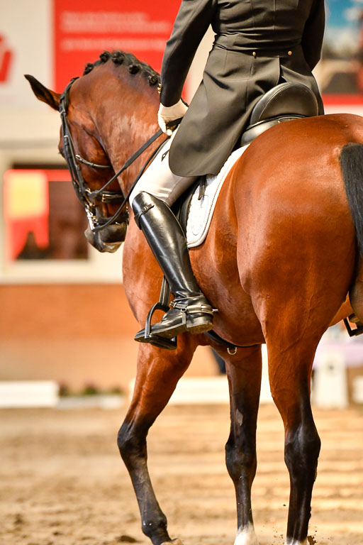 Reitturnier Harburger RV  16-18.7.2021 | Dressur_071 