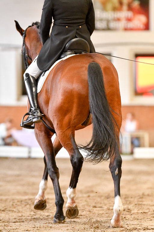 Reitturnier Harburger RV  16-18.7.2021 | Dressur_072 
