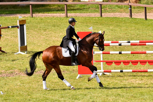 Reitturnier Harburger RV  16-18.7.2021 | Dressur_091 