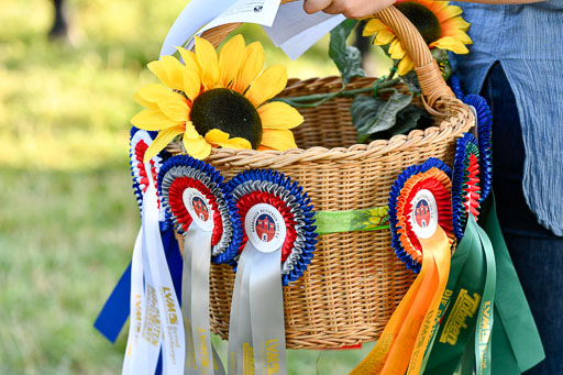 Reitturnier Harburger RV  16-18.7.2021 | Impressionen_002 