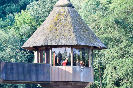 Reitturnier Harburger RV  16-18.7.2021 | Impressionen_003 