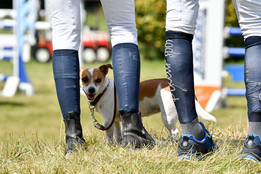 Reitturnier Harburger RV  16-18.7.2021 | Impressionen_117 