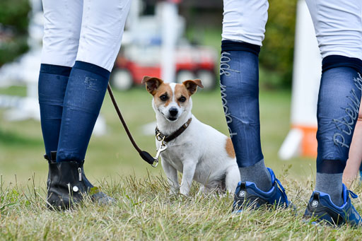 Reitturnier Harburger RV  16-18.7.2021 | Impressionen_119 