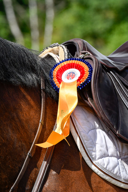 Reitturnier Harburger RV  16-18.7.2021 | Impressionen_138 