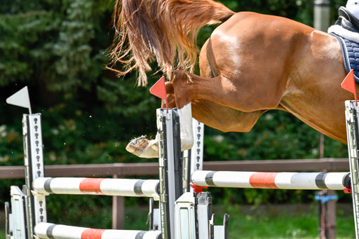 Reitturnier Harburger RV  16-18.7.2021 | Impressionen_145 