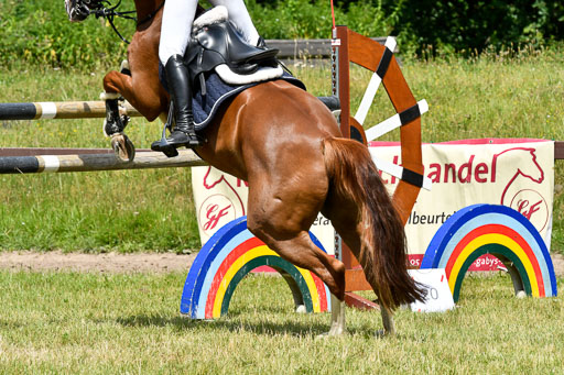 Reitturnier Harburger RV  16-18.7.2021 | Impressionen_146 