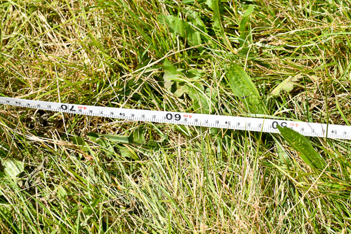 Reitturnier Harburger RV  16-18.7.2021 | Impressionen_161 