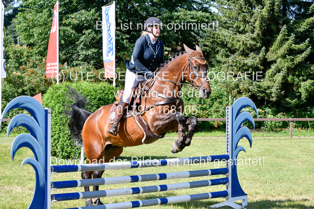 Reitturnier Harburger RV  17.7.2021 | 17072021 Springpfg A2  1 Abt 