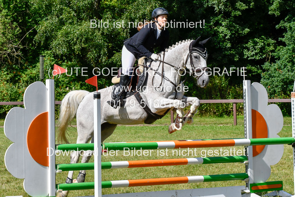 Reitturnier Harburger RV  17.7.2021 | 17072021 Springpfg A2  1 Abt_029 