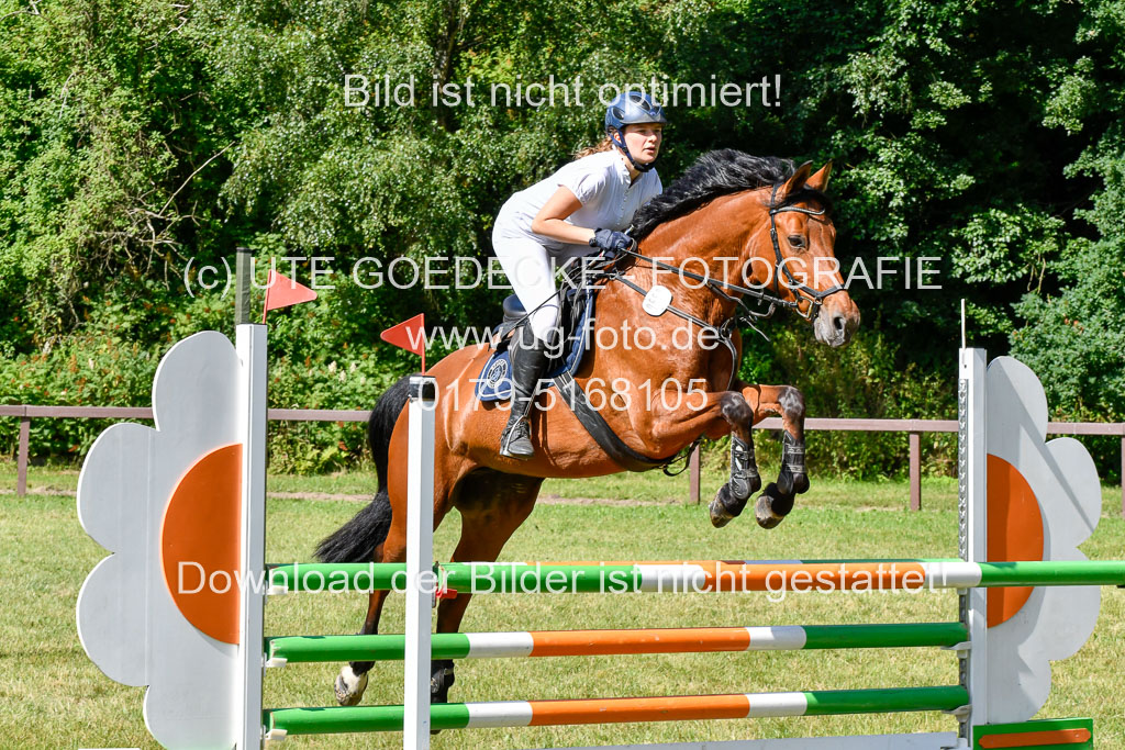 Reitturnier Harburger RV  17.7.2021 | 17072021 Springpfg A2  1 Abt_050 