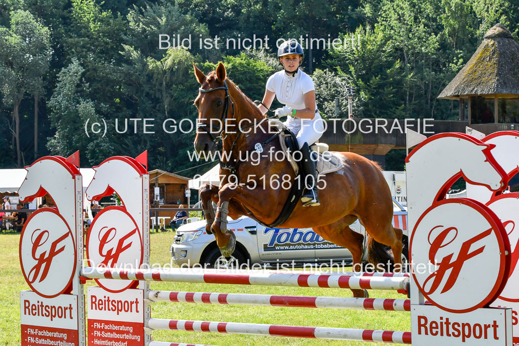 Reitturnier Harburger RV  17.7.2021 | 17072021 Springpfg A2  1 Abt_052 