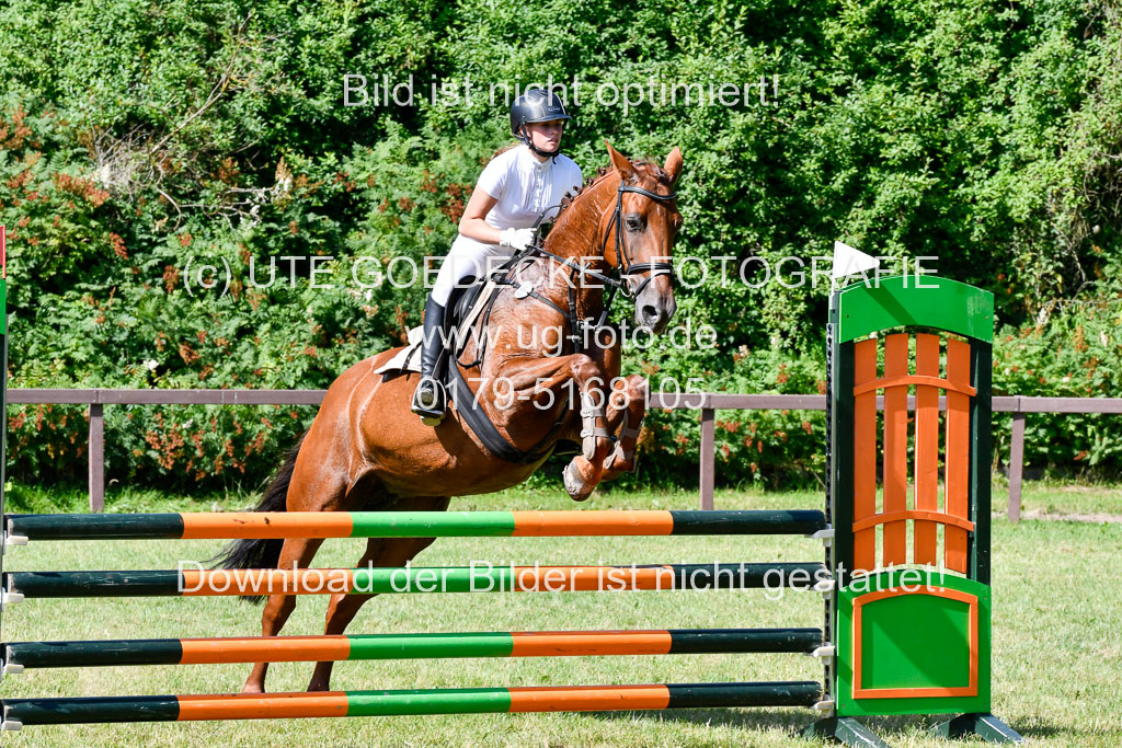 Reitturnier Harburger RV  17.7.2021 | 17072021 Springpfg A2  1 Abt_053 