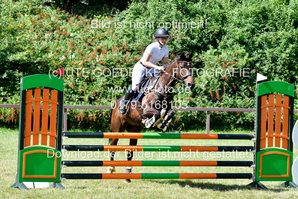 Reitturnier Harburger RV  17.7.2021 | 17072021 Springpfg A2  1 Abt_090 