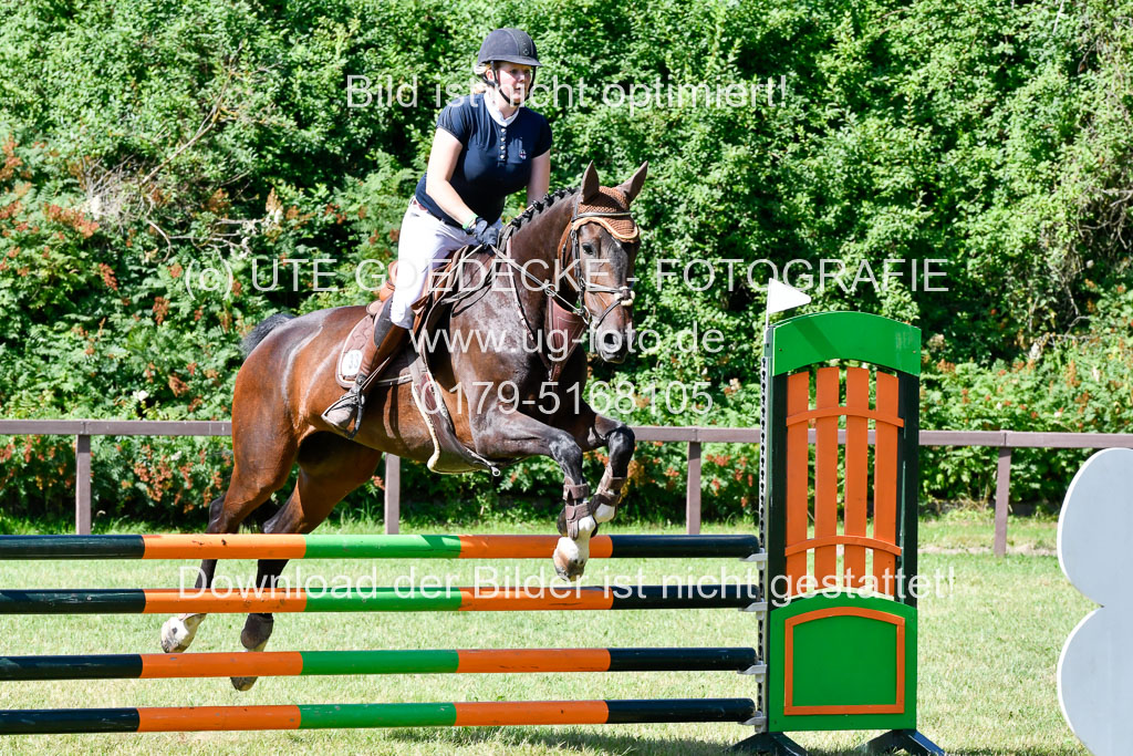 Reitturnier Harburger RV  17.7.2021 | 17072021 Springpfg A2  1 Abt_094 