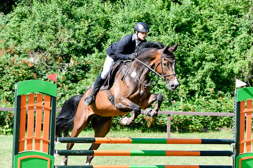 Reitturnier Harburger RV  17.7.2021 | 17072021 Springpfg A2  1 Abt_018 