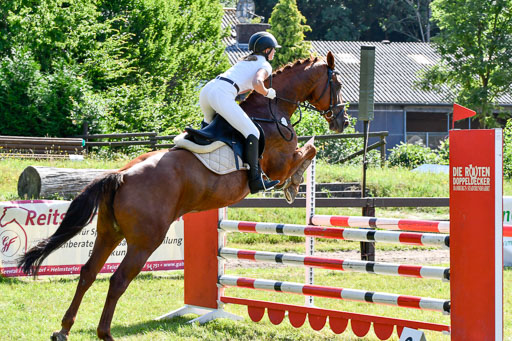 Reitturnier Harburger RV  17.7.2021 | 17072021 Springpfg A2  1 Abt_056 