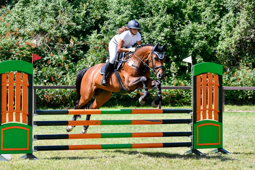 Reitturnier Harburger RV  16.7.2021 | 17072021 Springpfg A2  2 Abt_053 