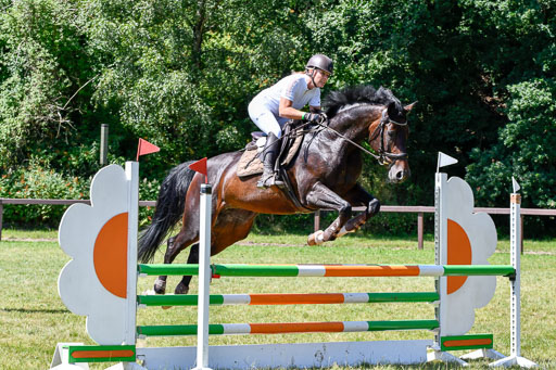 Reitturnier Harburger RV  16.7.2021 | 17072021 Springpfg A2  2 Abt_109 