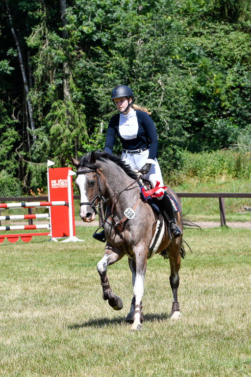 Reitturnier Harburger RV  16.7.2021 | 17072021 Springpfg A2  2 Abt_147 