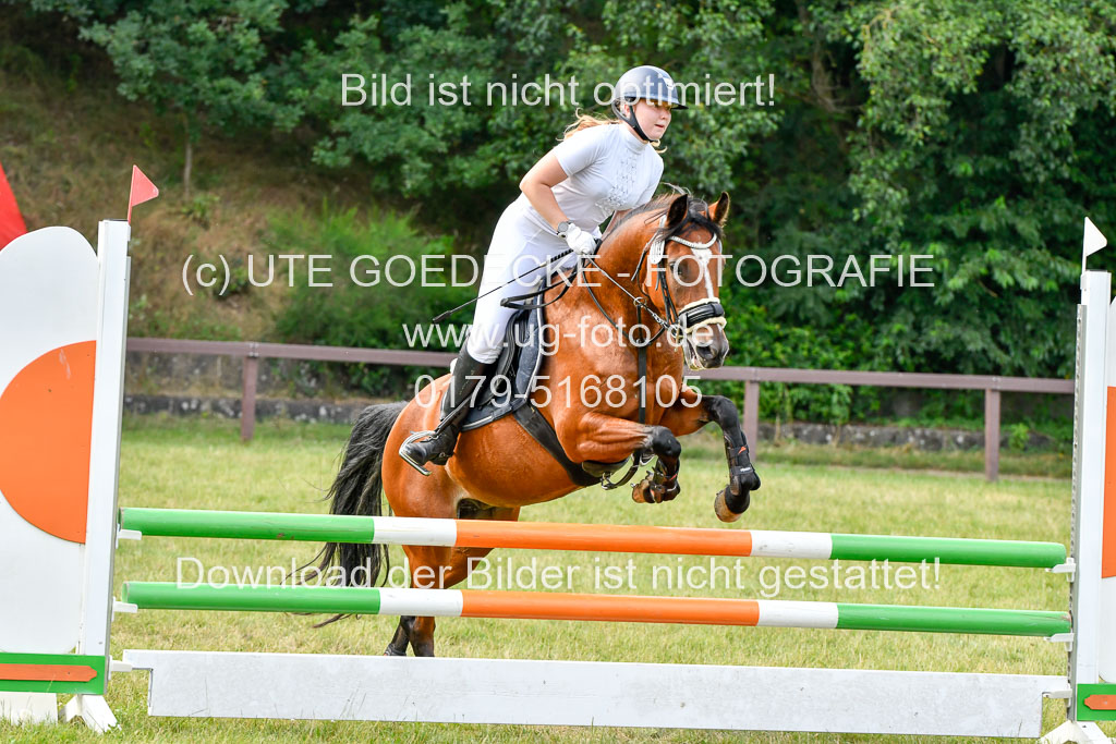 Reitturnier Harburger RV  16.7.2021 | 16072021 Springpfg Kl E_010 