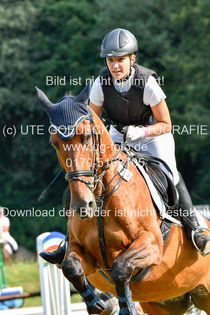 Reitturnier Harburger RV  16.7.2021 | 16072021 Springpfg Kl E_012 