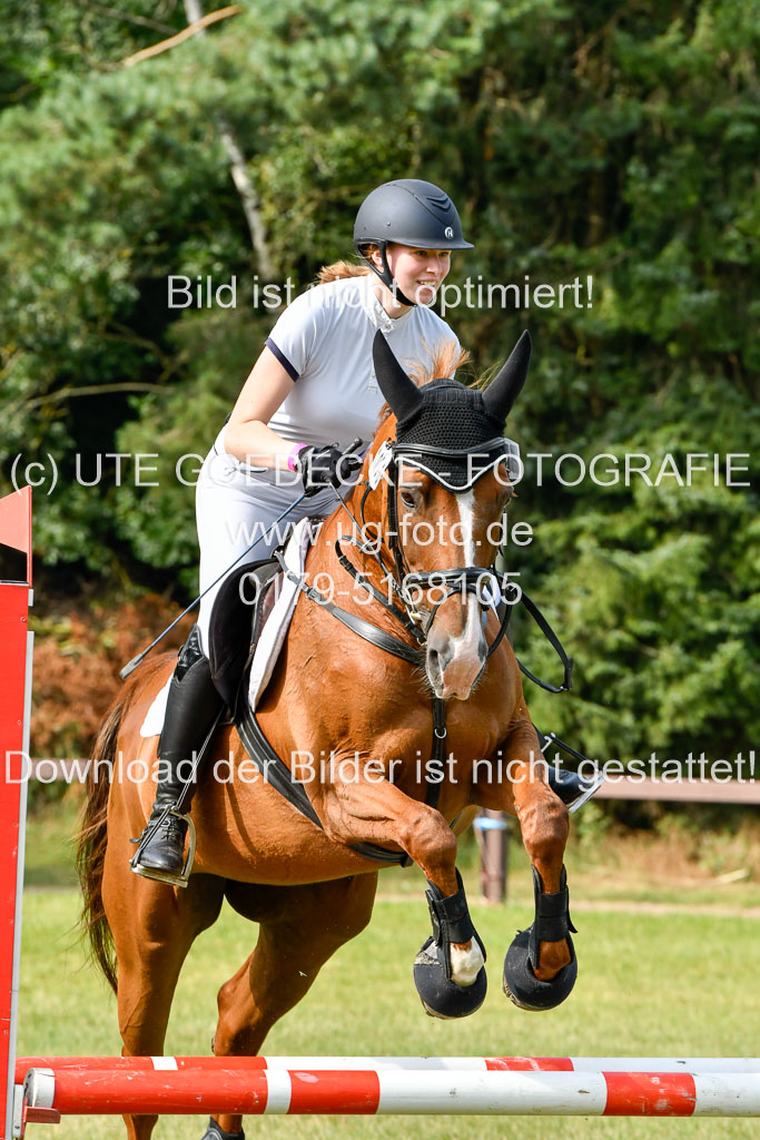 Reitturnier Harburger RV  16.7.2021 | 16072021 Springpfg Kl E_014 