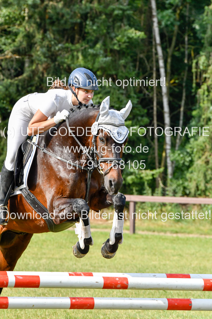 Reitturnier Harburger RV  16.7.2021 | 16072021 Springpfg Kl E_021 