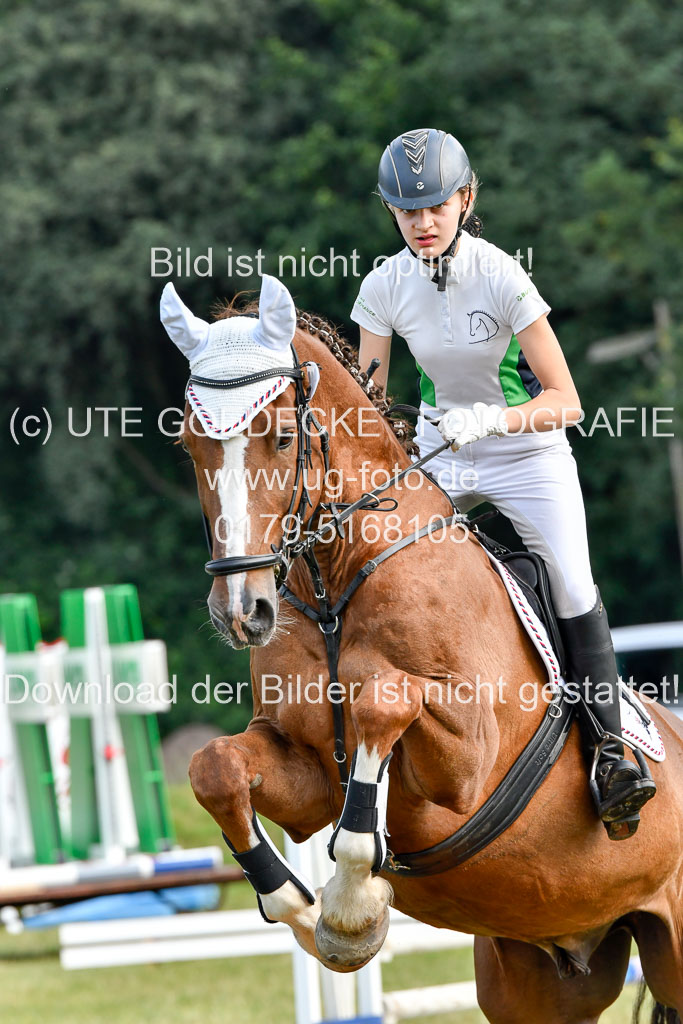 Reitturnier Harburger RV  16.7.2021 | 16072021 Springpfg Kl E_027 