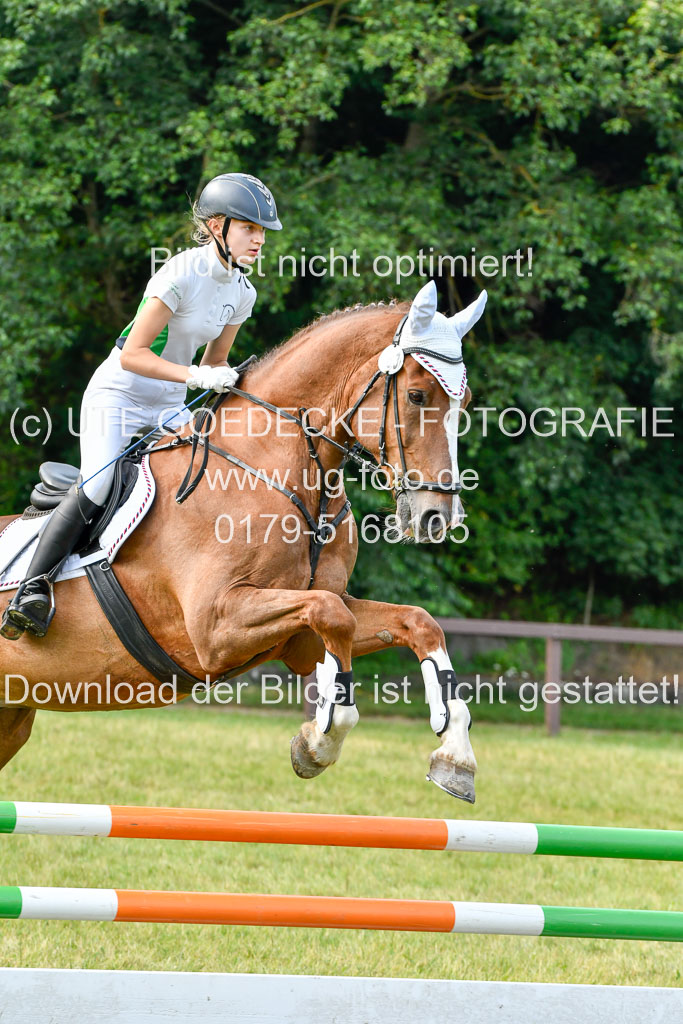 Reitturnier Harburger RV  16.7.2021 | 16072021 Springpfg Kl E_029 