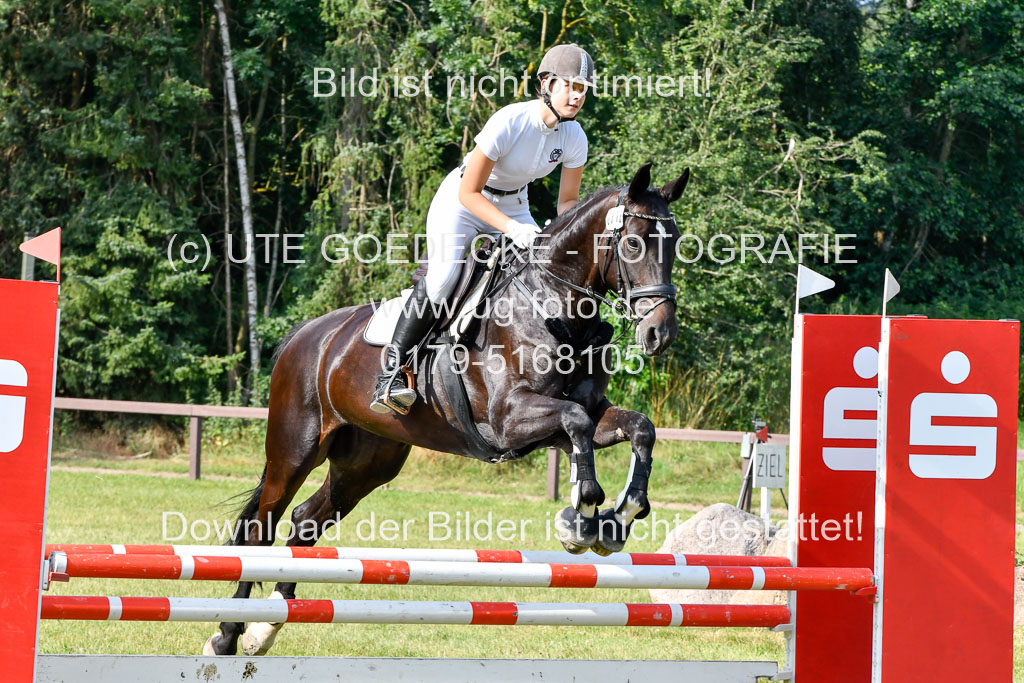 Reitturnier Harburger RV  16.7.2021 | 16072021 Springpfg Kl E_053 