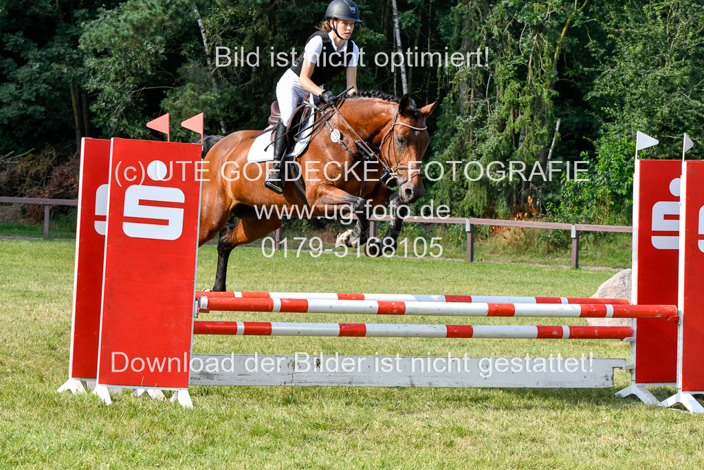 Reitturnier Harburger RV  16.7.2021 | 16072021 Springpfg Kl E_058 