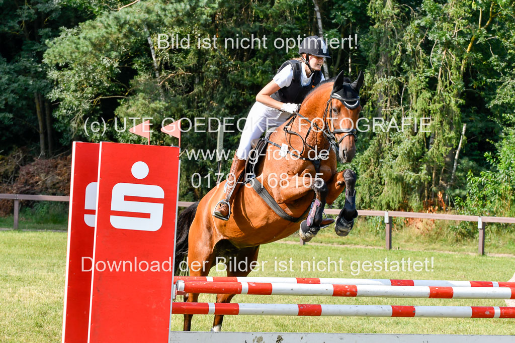 Reitturnier Harburger RV  16.7.2021 | 16072021 Springpfg Kl E_062 