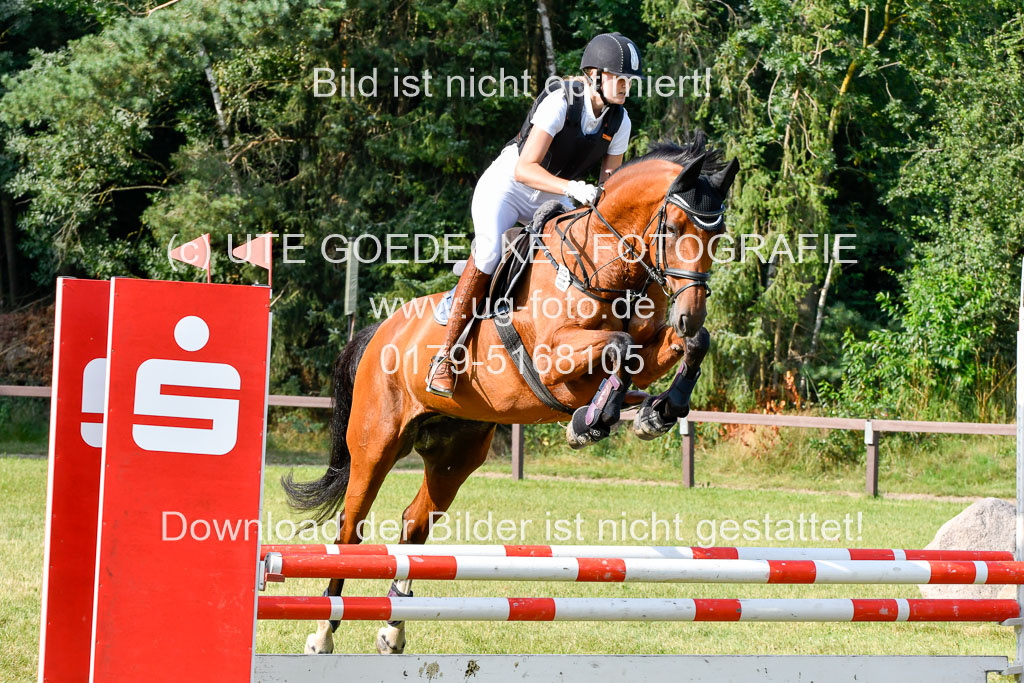 Reitturnier Harburger RV  16.7.2021 | 16072021 Springpfg Kl E_063 