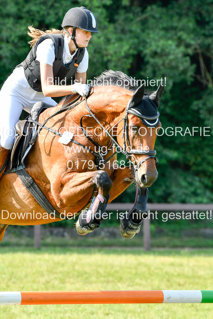 Reitturnier Harburger RV  16.7.2021 | 16072021 Springpfg Kl E_066 