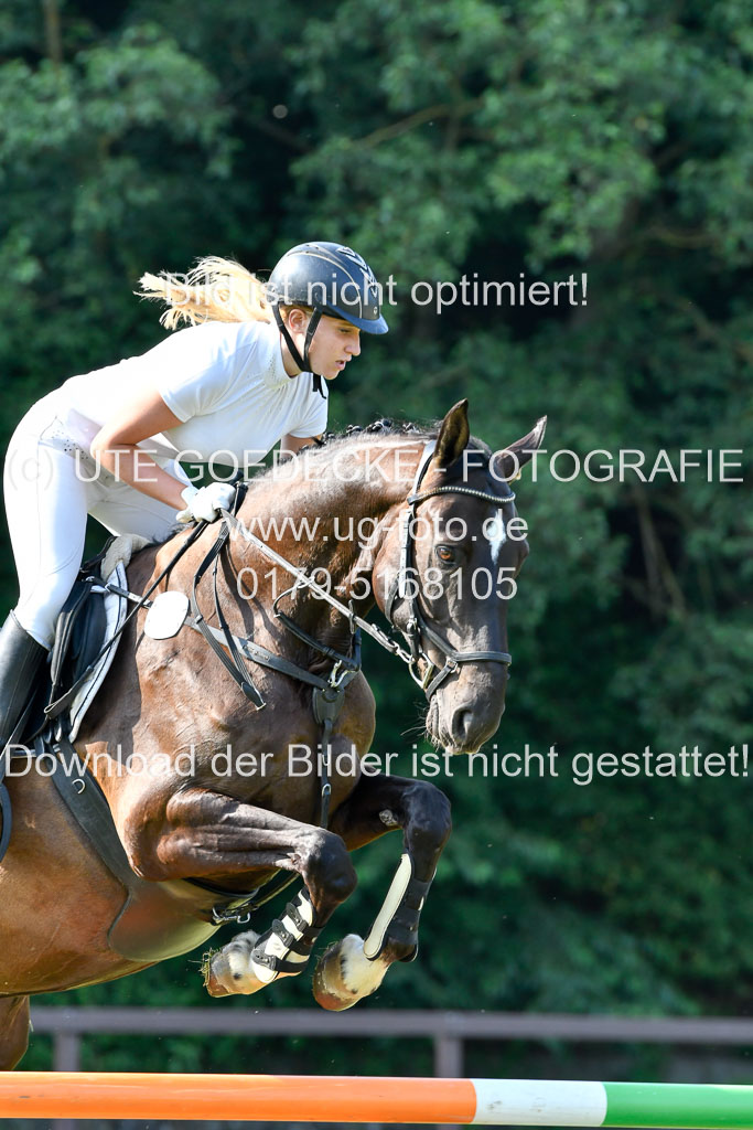 Reitturnier Harburger RV  16.7.2021 | 16072021 Springpfg Kl E_068 