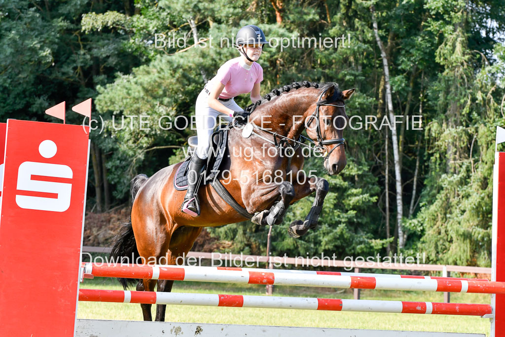 Reitturnier Harburger RV  16.7.2021 | 16072021 Springpfg Kl E_071 