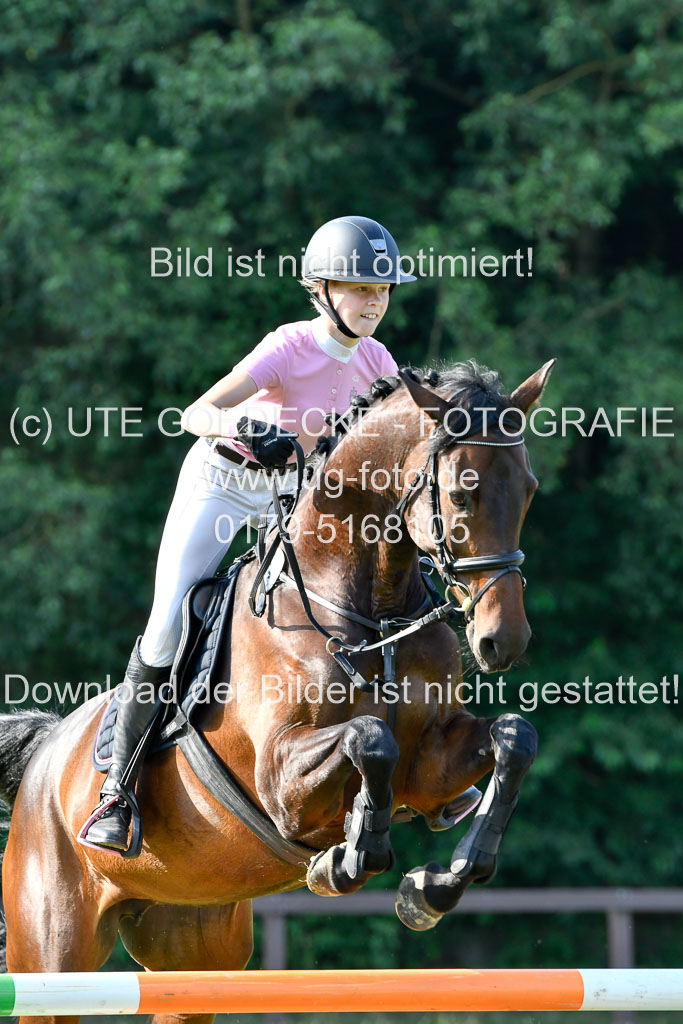 Reitturnier Harburger RV  16.7.2021 | 16072021 Springpfg Kl E_073 