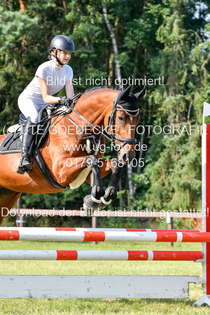 Reitturnier Harburger RV  16.7.2021 | 16072021 Springpfg Kl E_076 