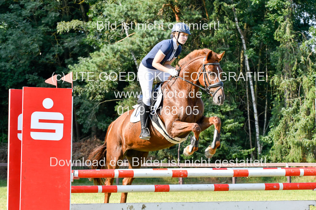 Reitturnier Harburger RV  16.7.2021 | 16072021 Springpfg Kl E_078 