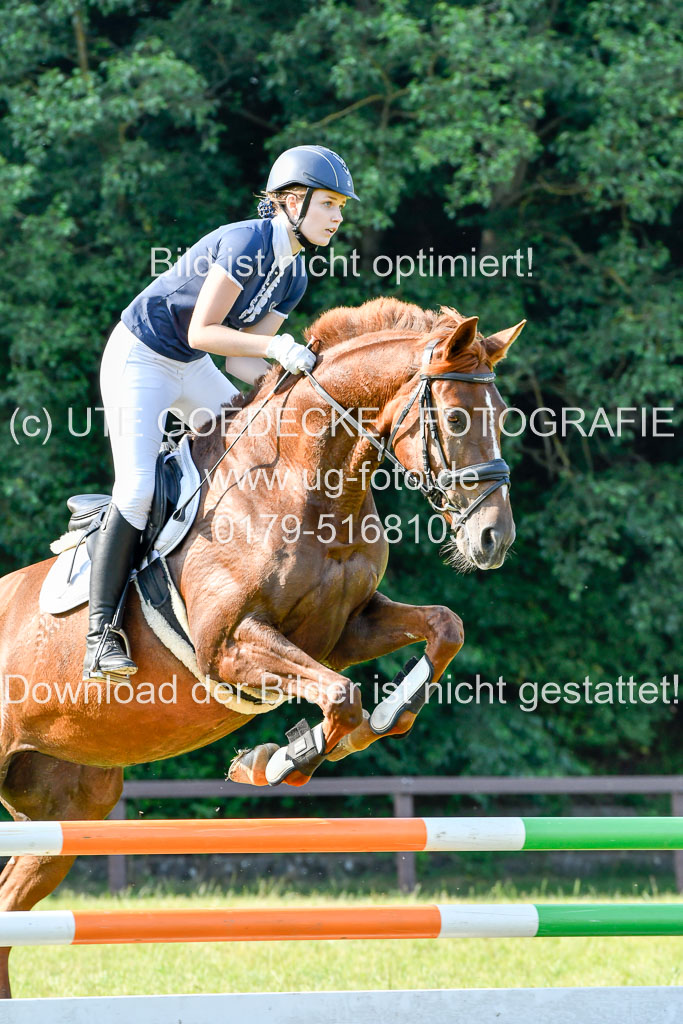 Reitturnier Harburger RV  16.7.2021 | 16072021 Springpfg Kl E_081 