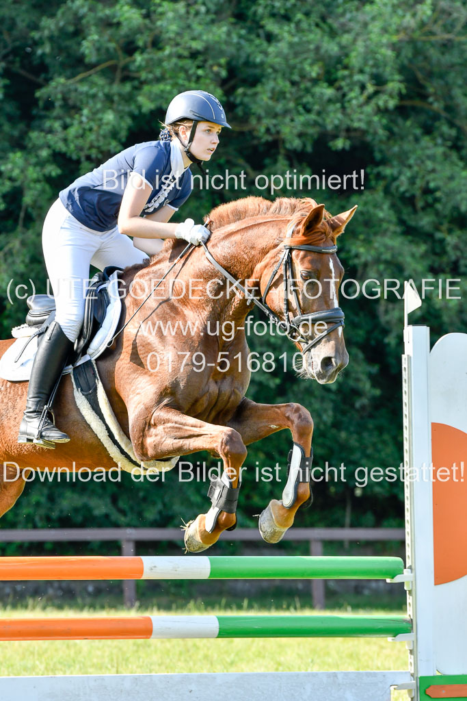 Reitturnier Harburger RV  16.7.2021 | 16072021 Springpfg Kl E_082 